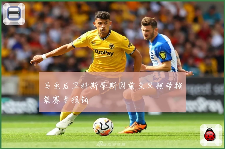 马竞后卫科斯蒂斯因前交叉韧带撕裂赛季报销